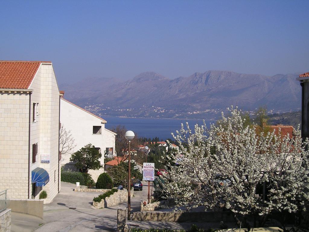 Apartments Zrnic Цавтат Экстерьер фото